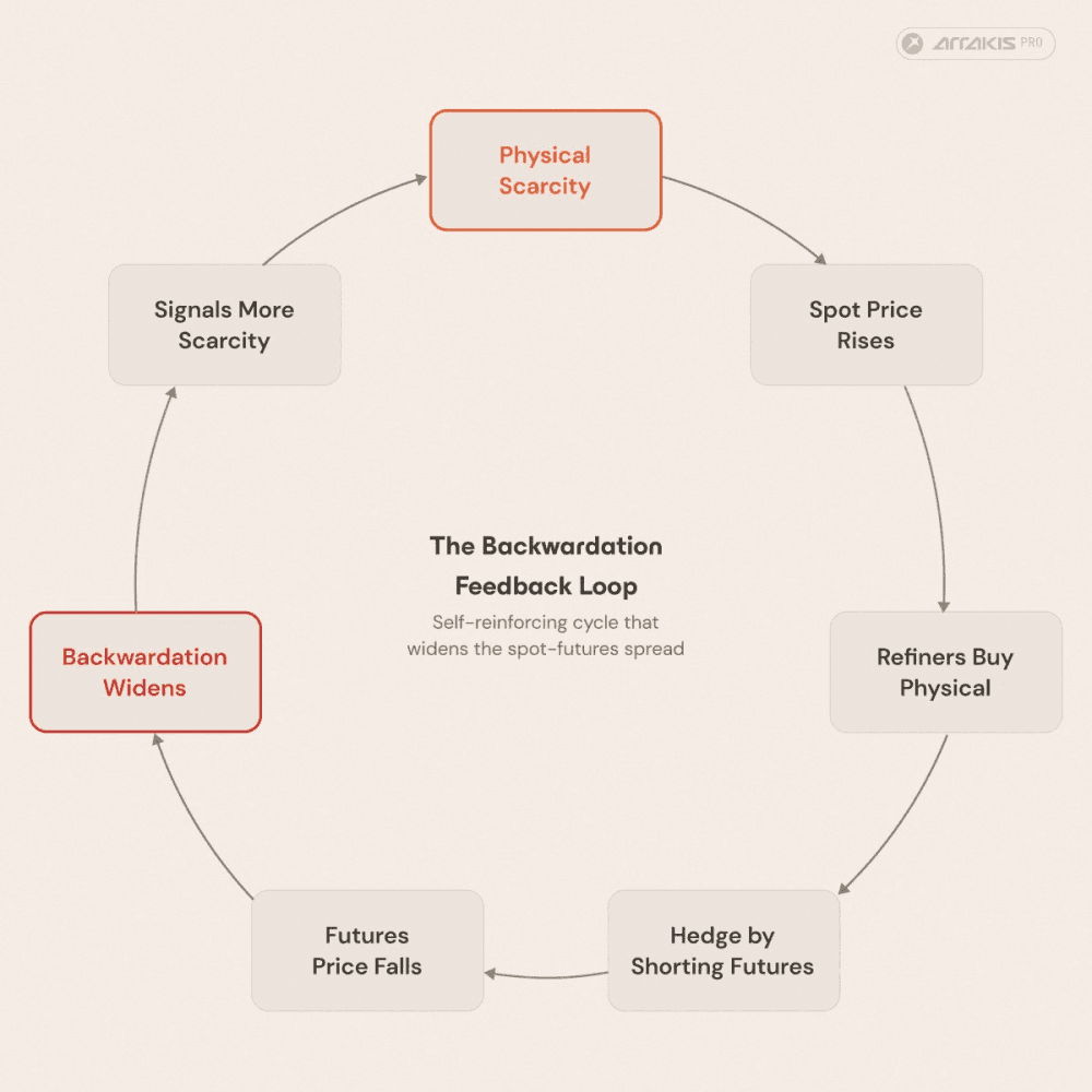 Backwardation feedback loop between physical buying and futures hedging.